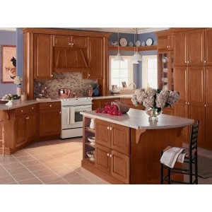 Elite kitchen by Merillat