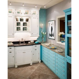 Contemporary Color kitchen, Columbia Cabinets