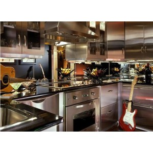 Contemporary Stainless Steel kitchen, Christiana Cabinetry