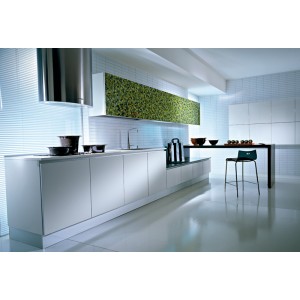 Q2 Miracle kitchen, Pedini