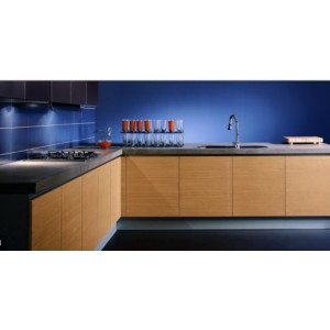 Trendy Wood kitchen, Aster Cucine