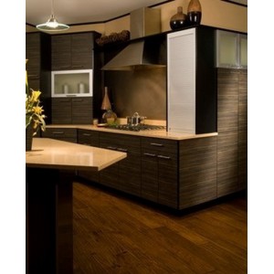 Surprise kitchen, Amero