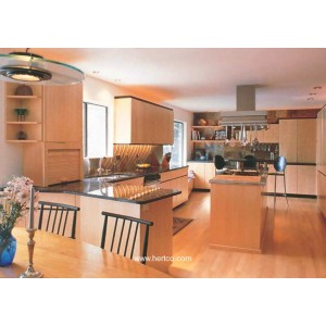 Family kitchen, Hertco