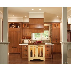 Hudson Falls kitchen, Medallion