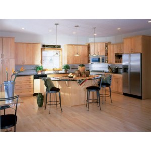 Modern kitchen, Ovation Cabinetry